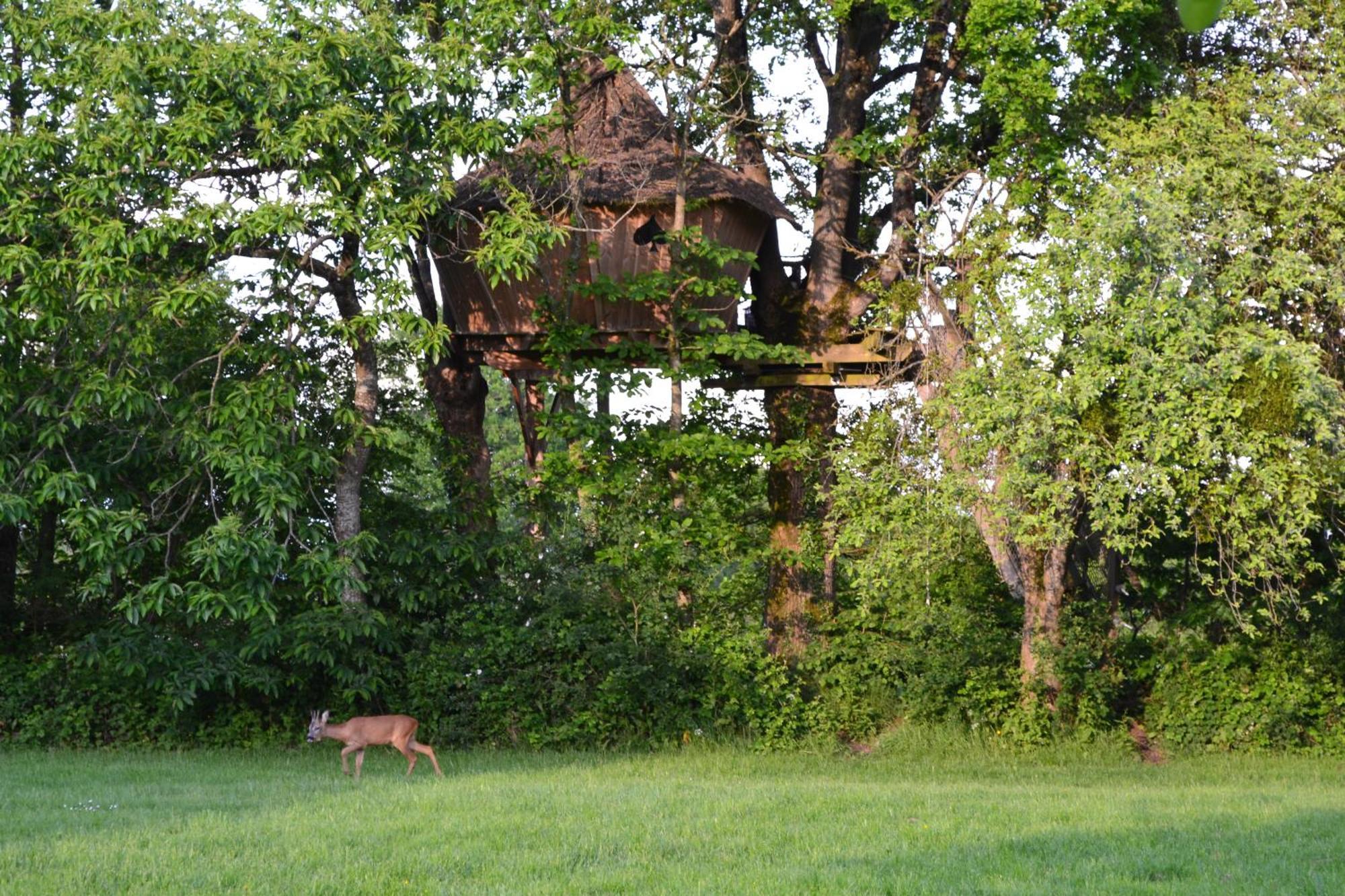 Bed and Breakfast Domaine des vaulx à La Baconniere Extérieur photo