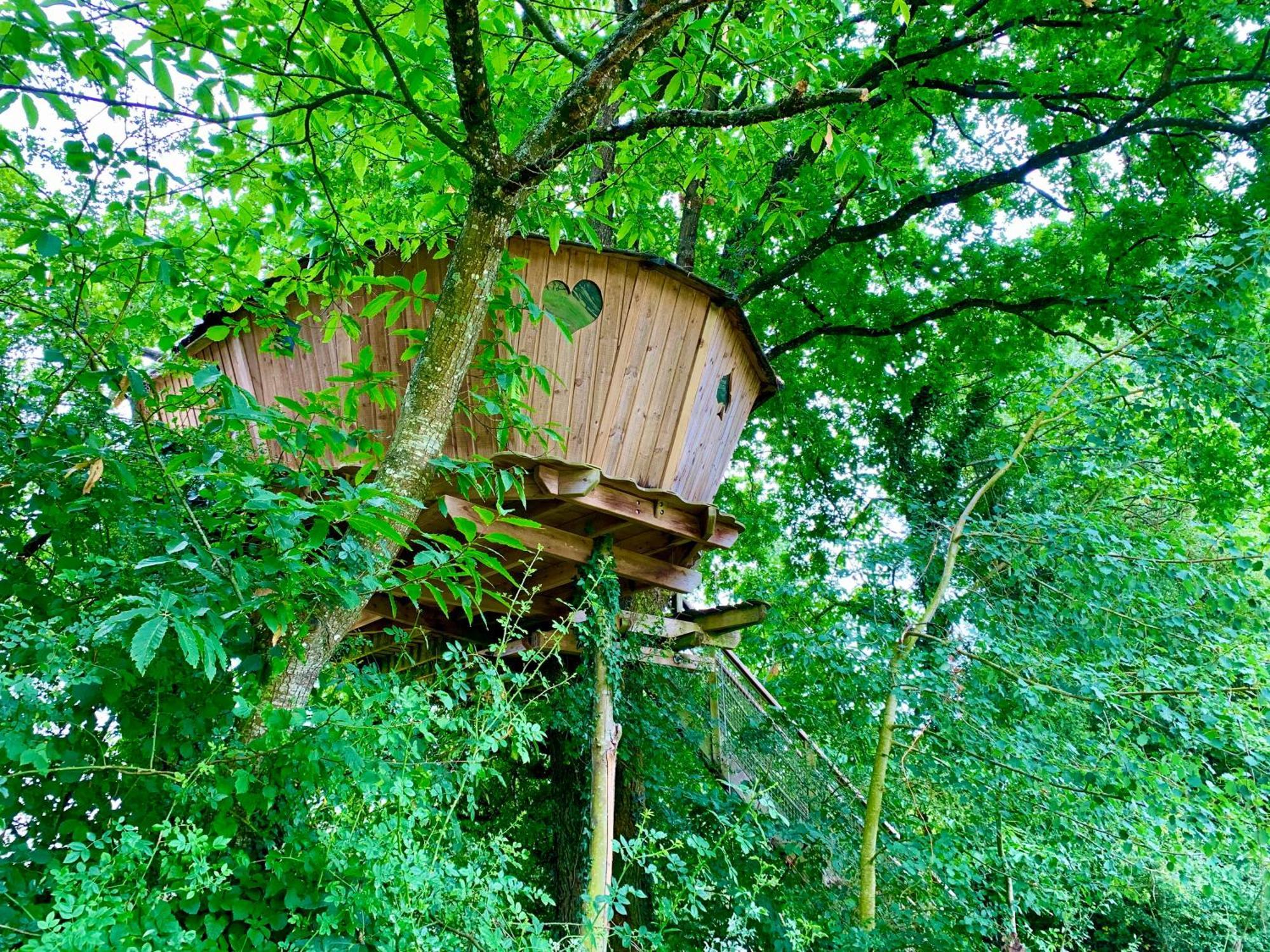 Bed and Breakfast Domaine des vaulx à La Baconniere Extérieur photo