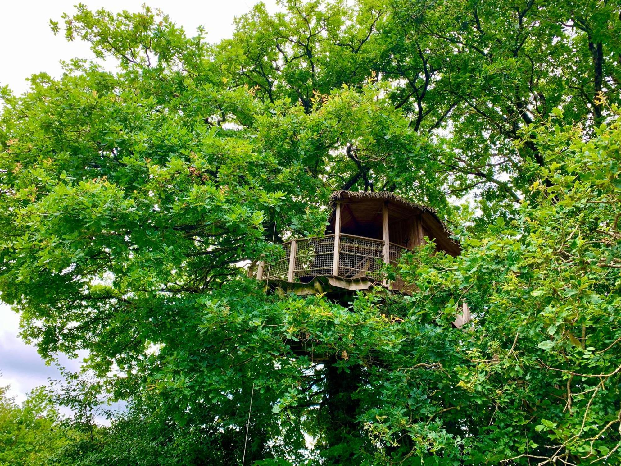 Bed and Breakfast Domaine des vaulx à La Baconniere Extérieur photo